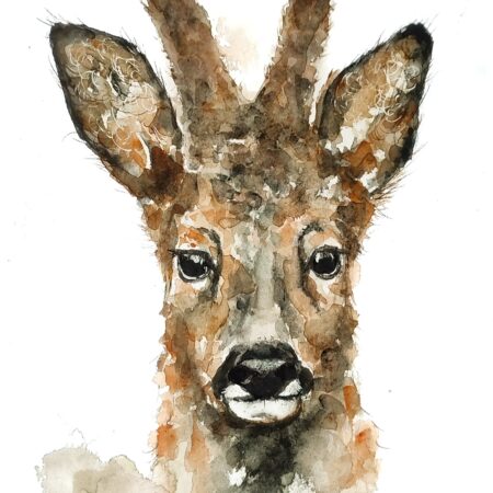 AQUARELLE ORIGINALE DU CHEVREUIL ( brocard)