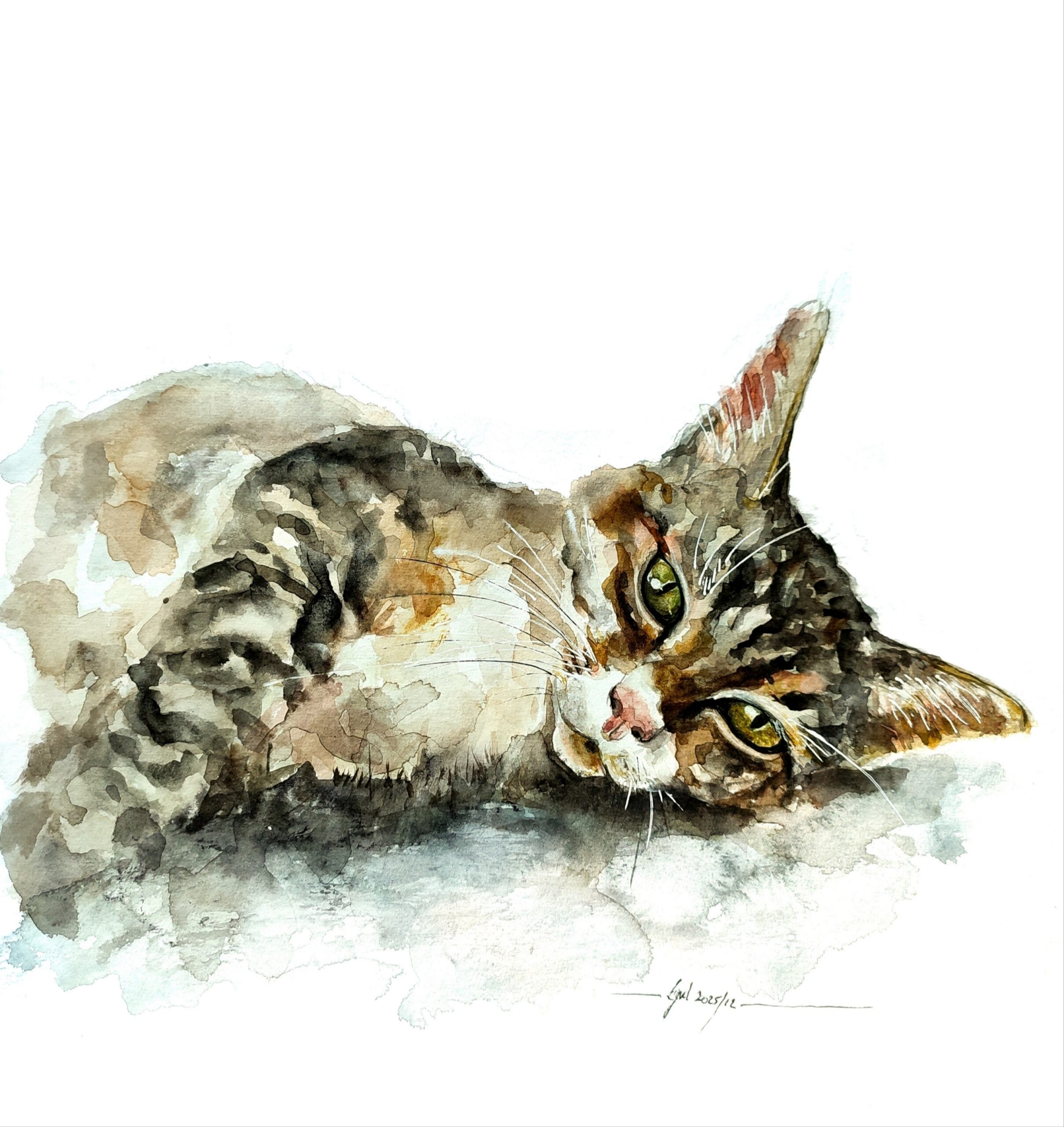 NOUVELLE COLLECTION CARTES POSTALES SUR PAPIER AQUARELLE – Image 9